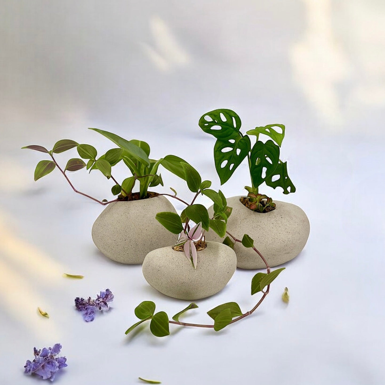Set of handmade ceramic stone-look planters in soft, natural tones, designed to resemble smooth river stones. Each planter holds a vibrant green plant, creating a harmonious blend of organic shapes and nature-inspired aesthetics.